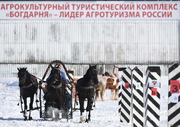 Участники фестиваля русской тройки Владимирский тракт - 2021