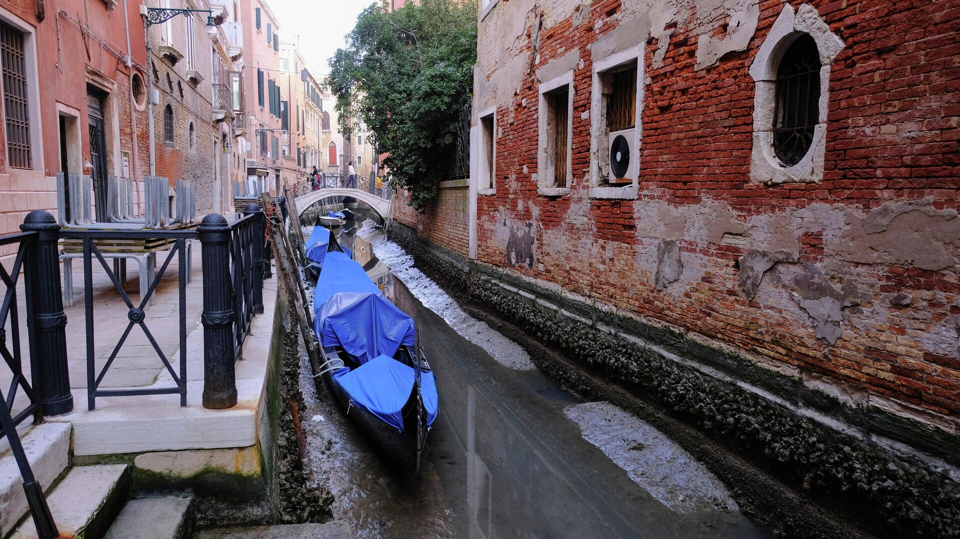 Гондолы в канале во время отлива в Венеции, Италия - РИА Новости, 1920, 01.03.2021