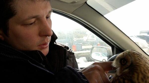 Необычные пассажиры: в Уфе появилось специальное такси для животных
