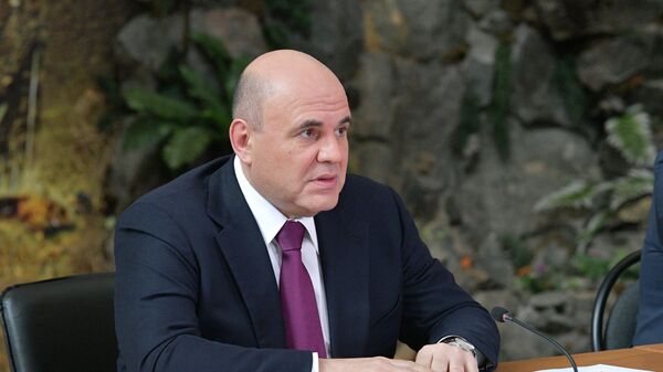 Председатель правительства РФ Михаил Мишустин проводит встречу с представителями туристического бизнеса по вопросу развития туризма в Республике Алтай
