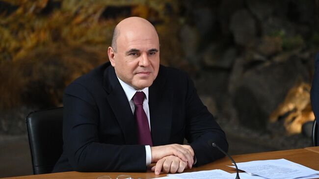 Председатель правительства РФ Михаил Мишустин