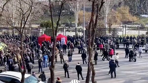 Сторонники оппозиции у здания парламента Армении в Ереване. Кадр видео