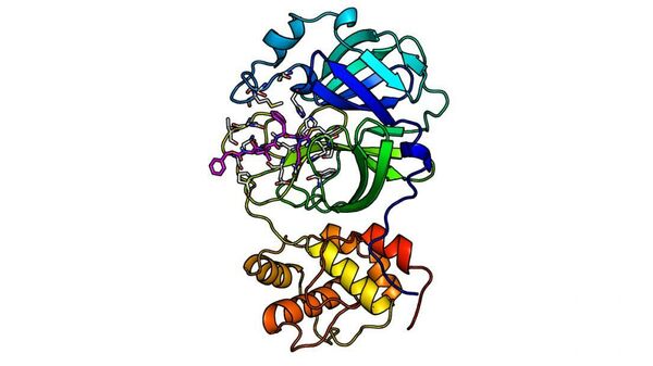 Главная протеаза коронавируса с встроенным активным ингибитором (розовым)