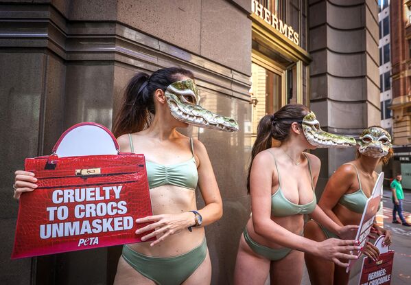 Активисты движения за права животных из организации PETA во время протеста около магазина Hermes в Сиднее 