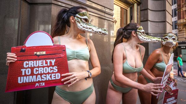 Активисты движения за права животных из организации PETA во время протеста около магазина Hermes в Сиднее 