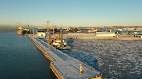 Морской порт Усть-Луга расположен в Ленинградской области