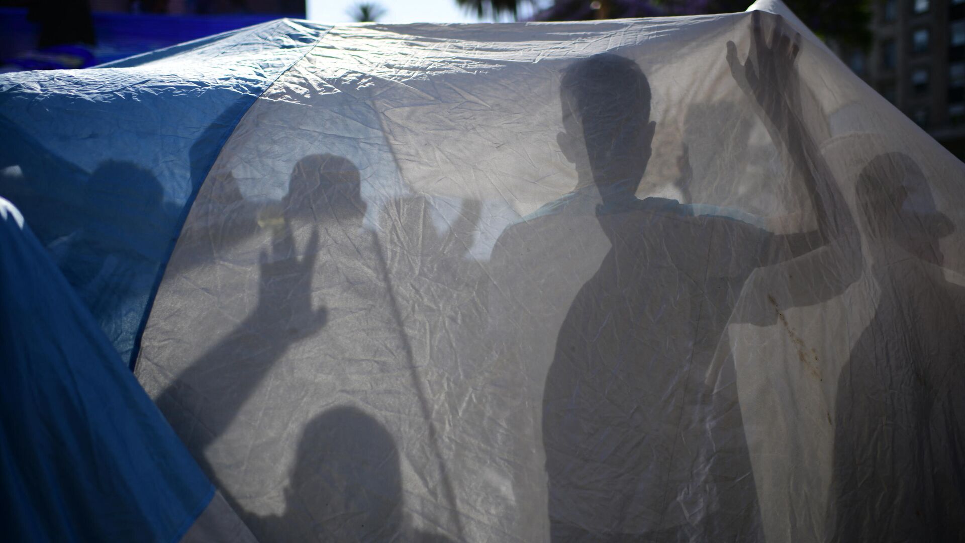 Fans are seen behind an Argentinian flag as they wait outside the Casa Rosada government house to pay their tribute to Argentinian late football legend Diego Armando Maradona in Buenos Aires, on November 26, 2020. - Argentine football legend Diego Maradona will be buried Thursday on the outskirts of Buenos Aires, a spokesman said. Maradona, who died of a heart attack Wednesday at the age of 60, will be laid to rest in the Jardin de Paz cemetery, where his parents were also buried, Sebastian Sanchi told AFP. (Photo by RONALDO SCHEMIDT / AFP) - РИА Новости, 1920, 08.03.2021