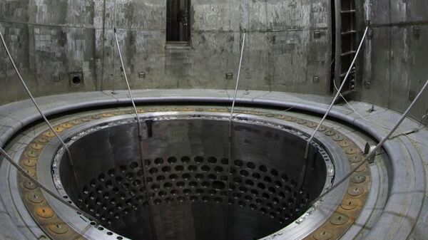 Загрузка имитаторов тепловыделяющих сборок (ИТВС) в реактор второго энергоблока Белорусской АЭС