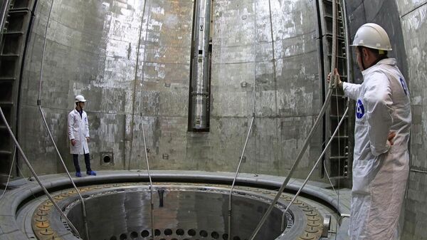 Загрузка имитаторов тепловыделяющих сборок (ИТВС) в реактор второго энергоблока Белорусской АЭС