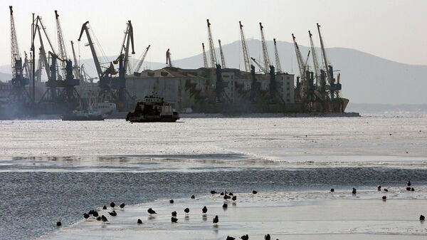 Рыбный порт во Владивостоке