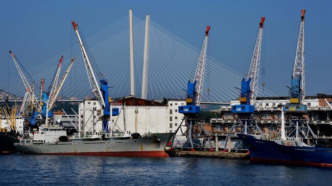 Суда в рыбном порту во Владивостоке