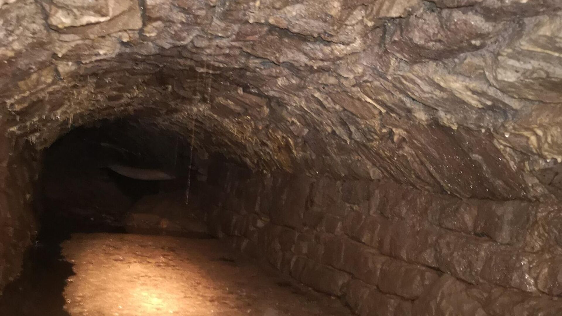 Туннель возрастом около 900 лет, обнаруженный во время электромонтажных работ в деревенской общине Тинтерн в графстве Монмутшир в Уэльсе - РИА Новости, 1920, 10.03.2021