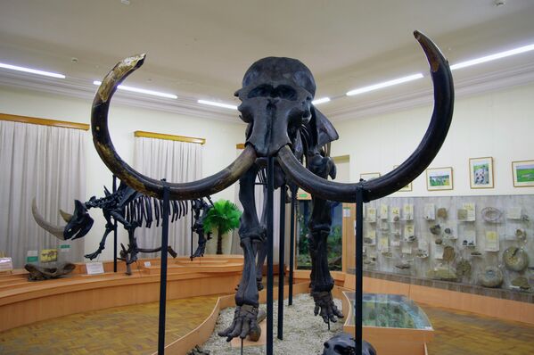 Экспонат краеведческого музея Городская Дума в Тюмени