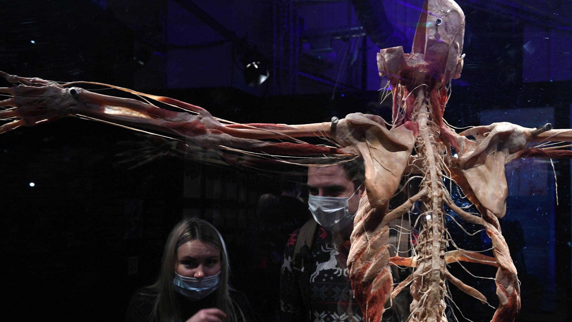 Выставка Body Worlds. Мир тела в Москве - РИА Новости, 1920, 13.03.2021