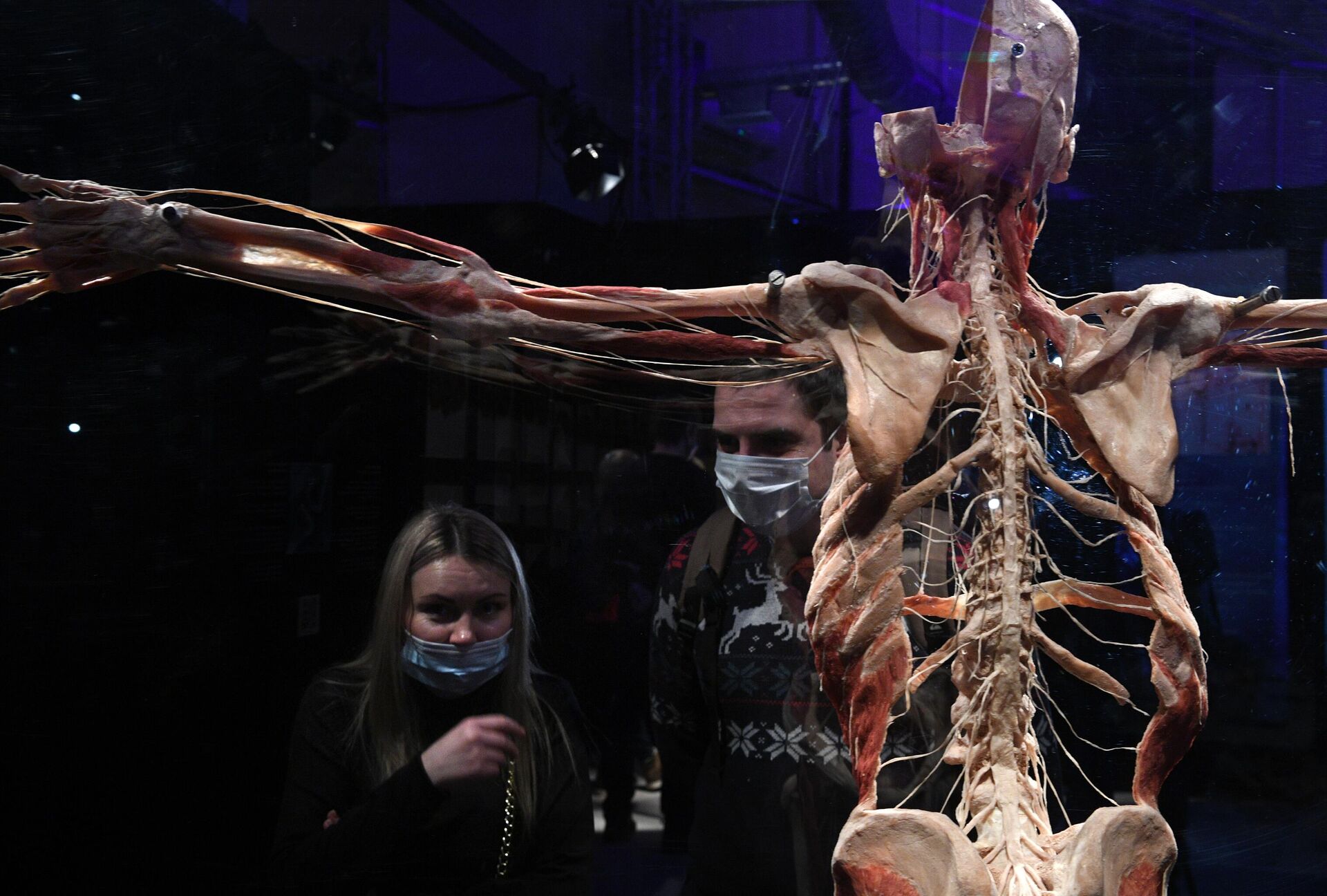 Выставка Body Worlds. Мир тела в Москве - РИА Новости, 1920, 12.03.2021