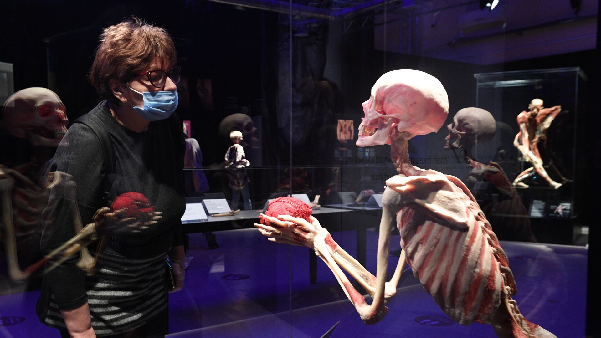 Выставка Body Worlds. Мир тела в Москве - РИА Новости, 1920, 12.03.2021