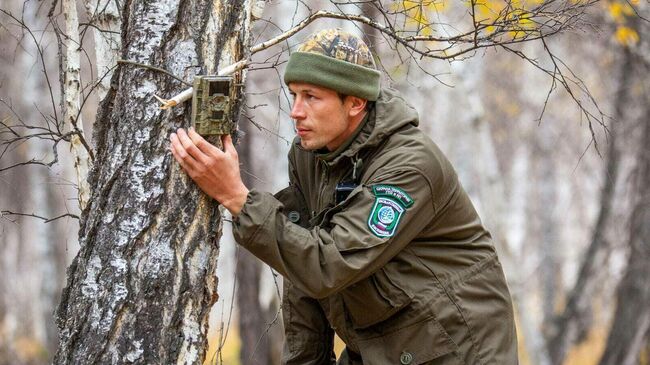 Сергей Красиков проверяет фотоловушку