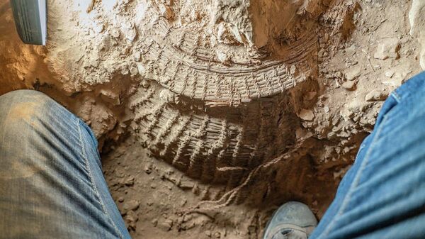 Археолог у древней корзины, обнаруженной в пещере Мурабаат в Иудейской пустыне недалеко от Мертвого моря