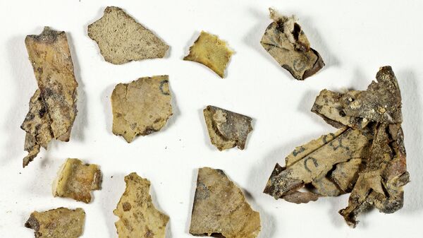 Фрагменты свитка, найденные в Пещере ужаса в Иудейской пустыне