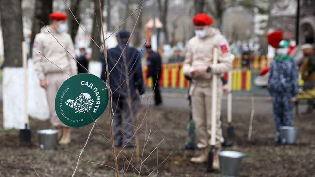 Старт акции Сад памяти