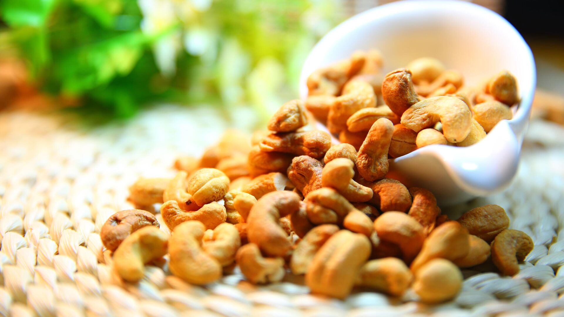 Фундук: полезные свойства и вред для организма, описание и вкус лесного  ореха