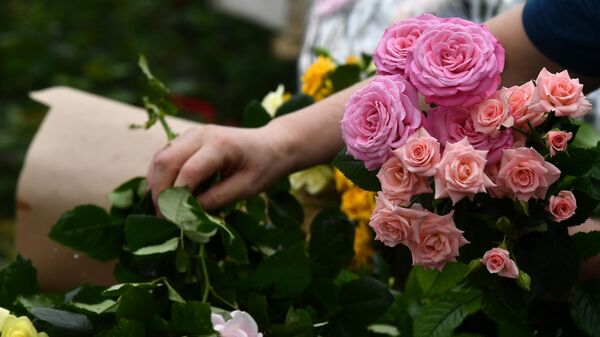 Сотрудница держит в руках розы, выращенные к Международному женскому дню на предприятии ГБУ Озеленение в Московской области