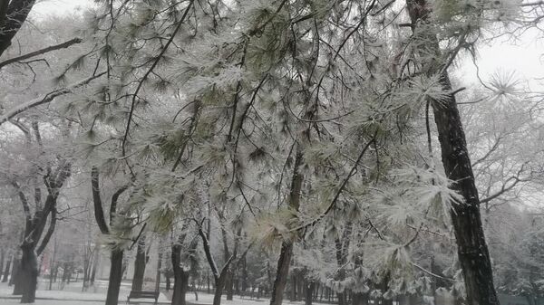 В Симферополе выпал снег