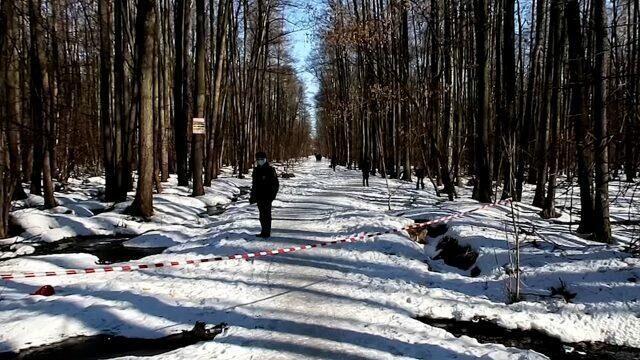 Работа криминалистов на месте обнаружения тела новорожденного ребенка в Брянске - РИА Новости, 1920, 24.03.2021