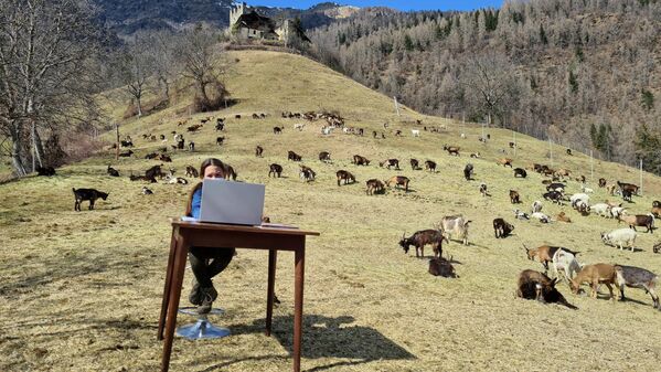 Десятилетняя девочка делает уроки в окружении стада коз в горах Италии 