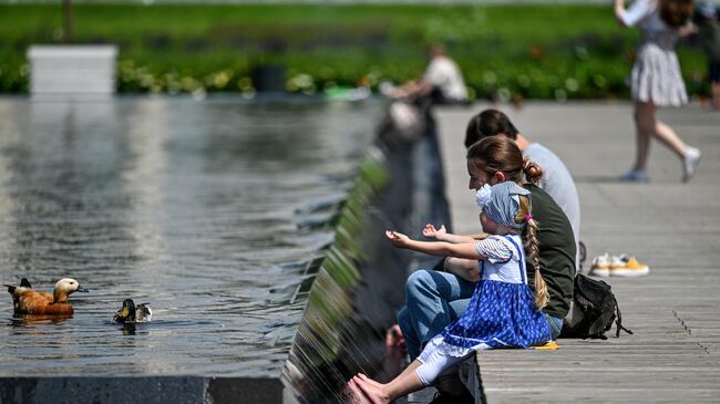 Утки на пруду в Парке Горького в Москве