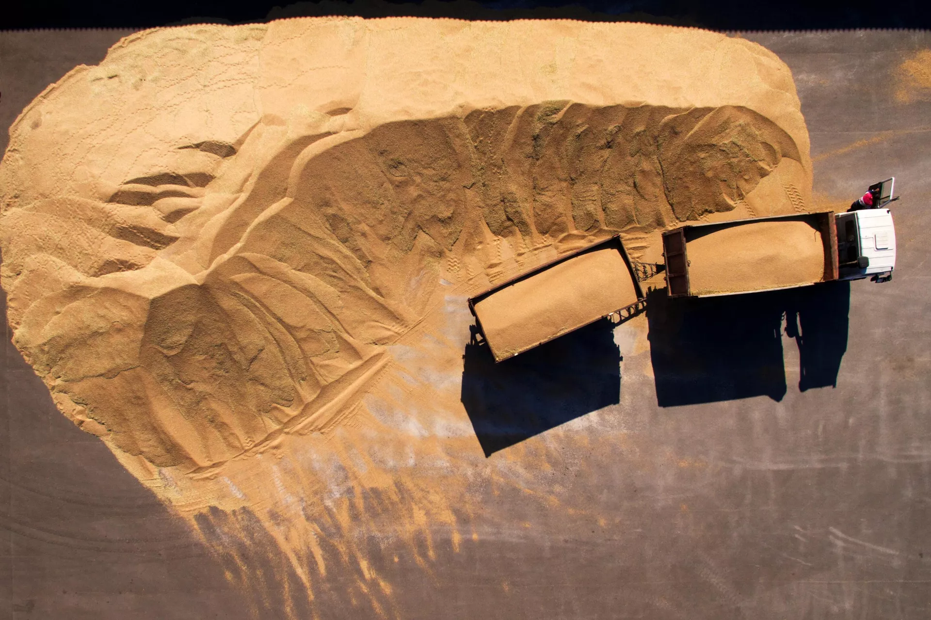 Εκφόρτωση σίτου - RIA Novosti, 1920, 03/06/2022