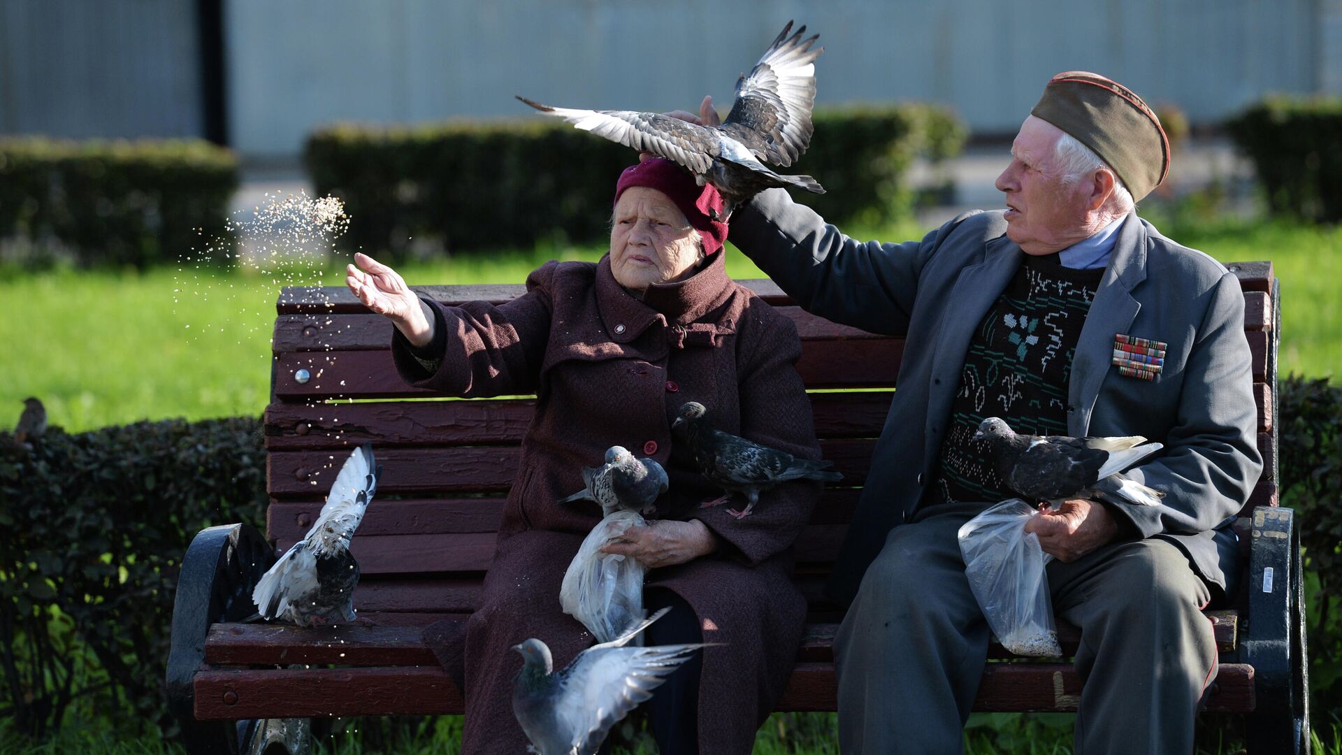 Пожилые люди кормят голубей - РИА Новости, 1920, 13.10.2023