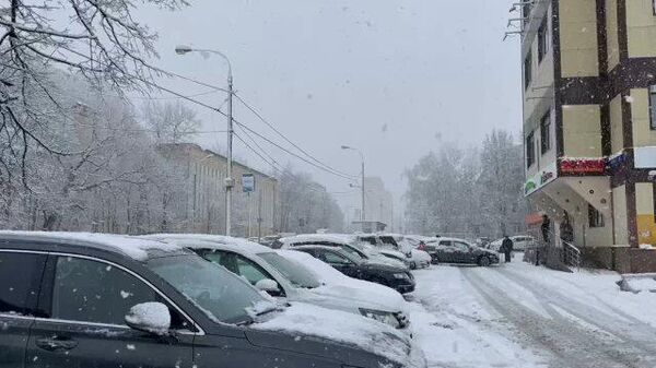 Апрельская шутка: на Москву обрушился снегопад