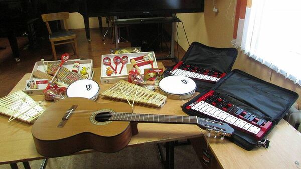 Детские школы искусств Липецкой области получили новые музыкальные инструменты в рамках национального проекта Культура