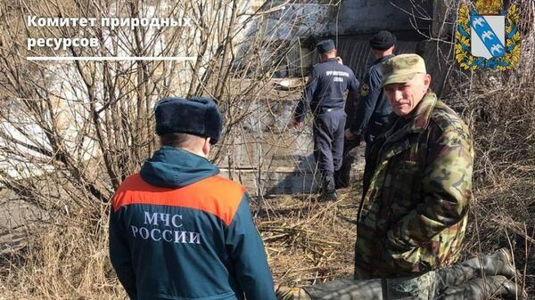 Спасение бобров в Курской области