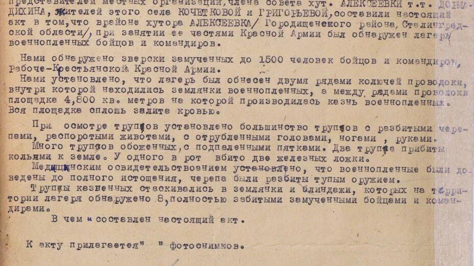 Документы о зверствах фашистов - РИА Новости, 1920, 09.04.2021