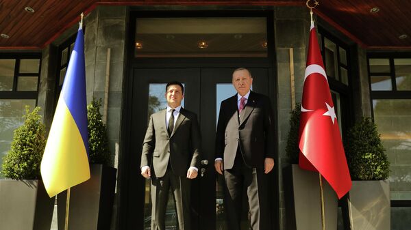 Президент Турции Тайип Эрдоган и президент Украины Владимир Зеленский во время встречи в Стамбуле, Турция