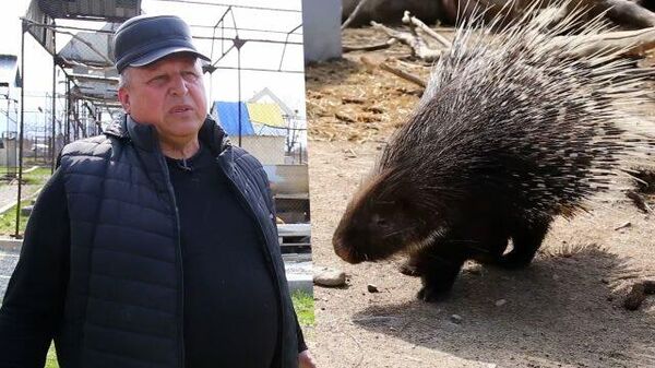 Мы в ответе за все: житель Казахстана выхаживает диких животных