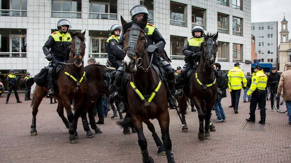Сотрудники правоохранительных органов в Голландии