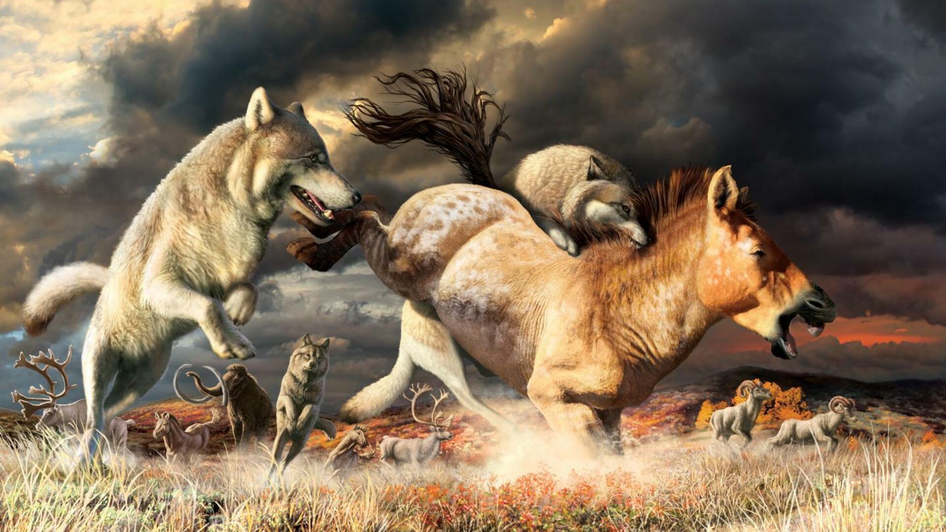 Художественное изображение охоты серых волков в конце плейстоцена около 25 тысяч лет назад
 - РИА Новости, 1920, 12.04.2021