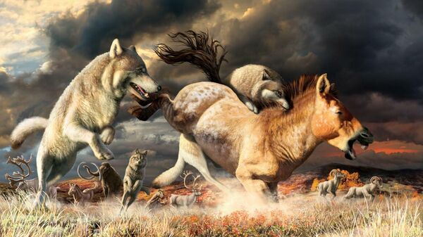 Художественное изображение охоты серых волков в конце плейстоцена около 25 тысяч лет назад
