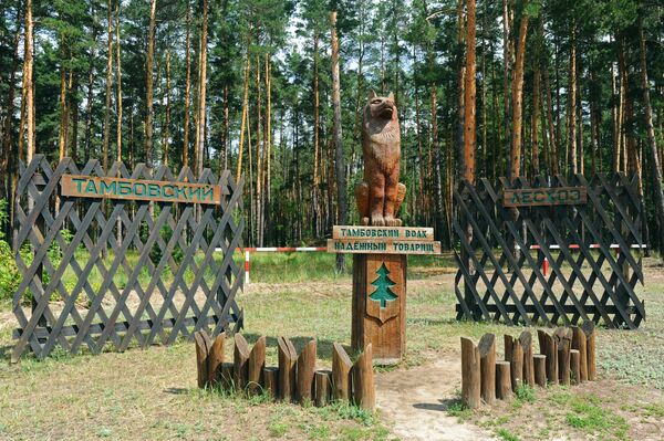 Памятник Тамбовскому волку на Рассказовском шоссе в Тамбове 