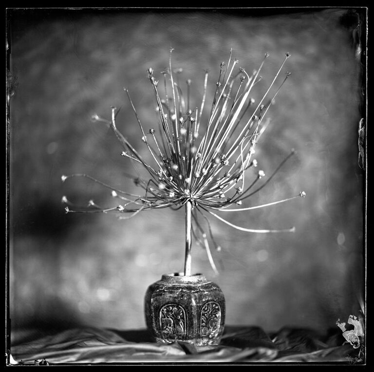 Работа фотографа Peter Eleveld Still Life Composition, Shot on  Wet Plate, победившего в категории Профессионалы, Натюрморт в фотоконкурсе 2021 Sony World Photography Awards