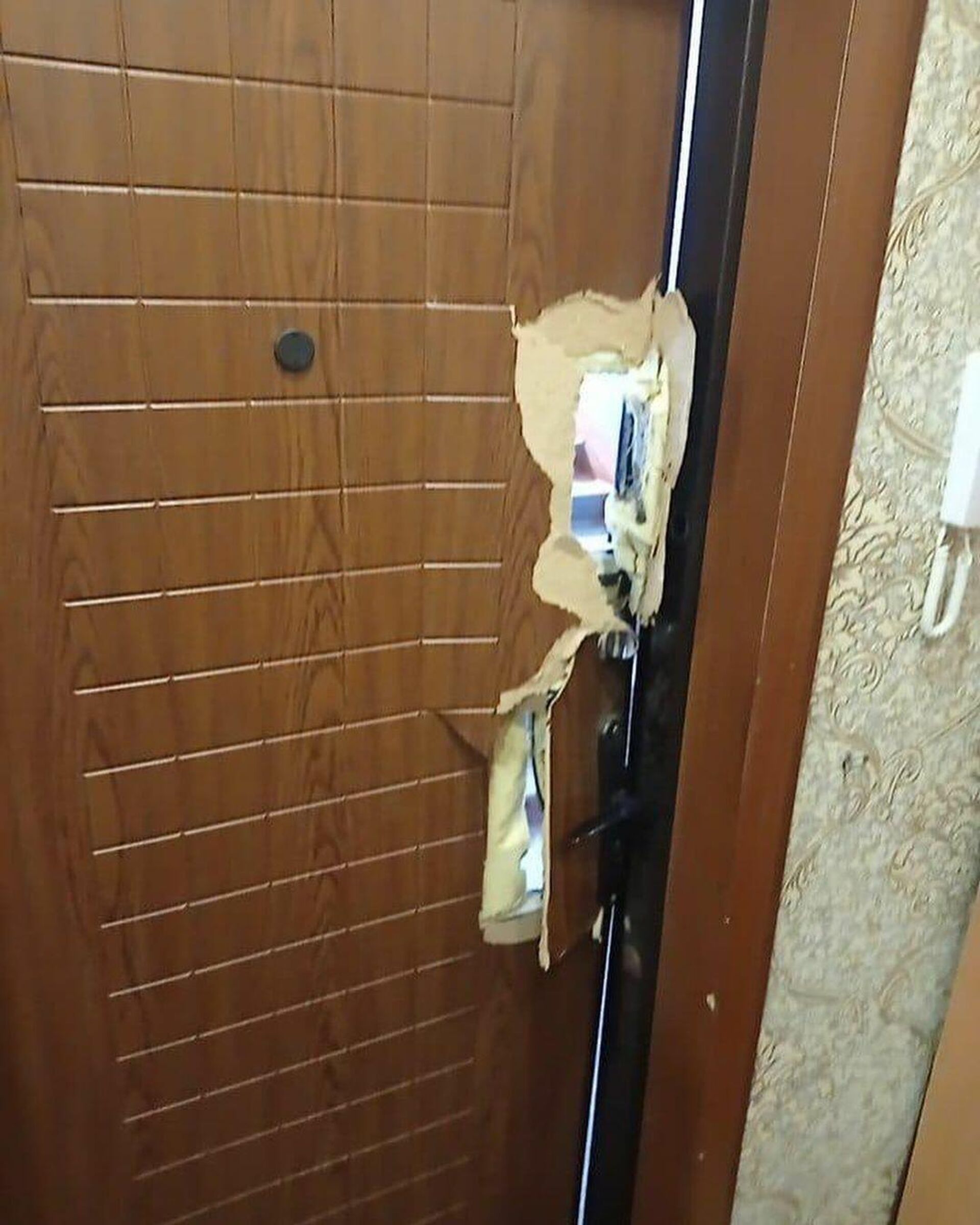 Взломанная дверь квартиры жительницы Заринска - РИА Новости, 1920, 15.04.2021