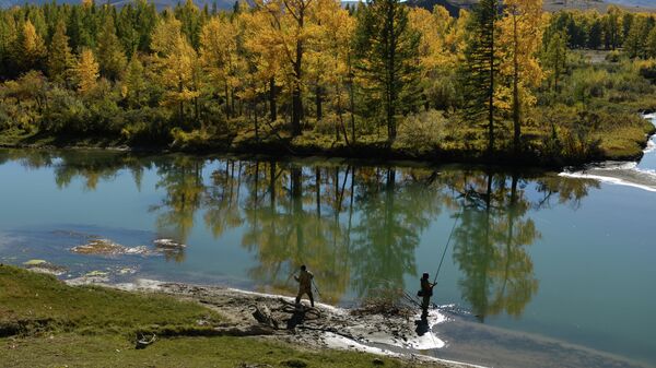 Мужчины ловят рыбу на реке Чуе в Кош-Агачском районе Республики Алтай