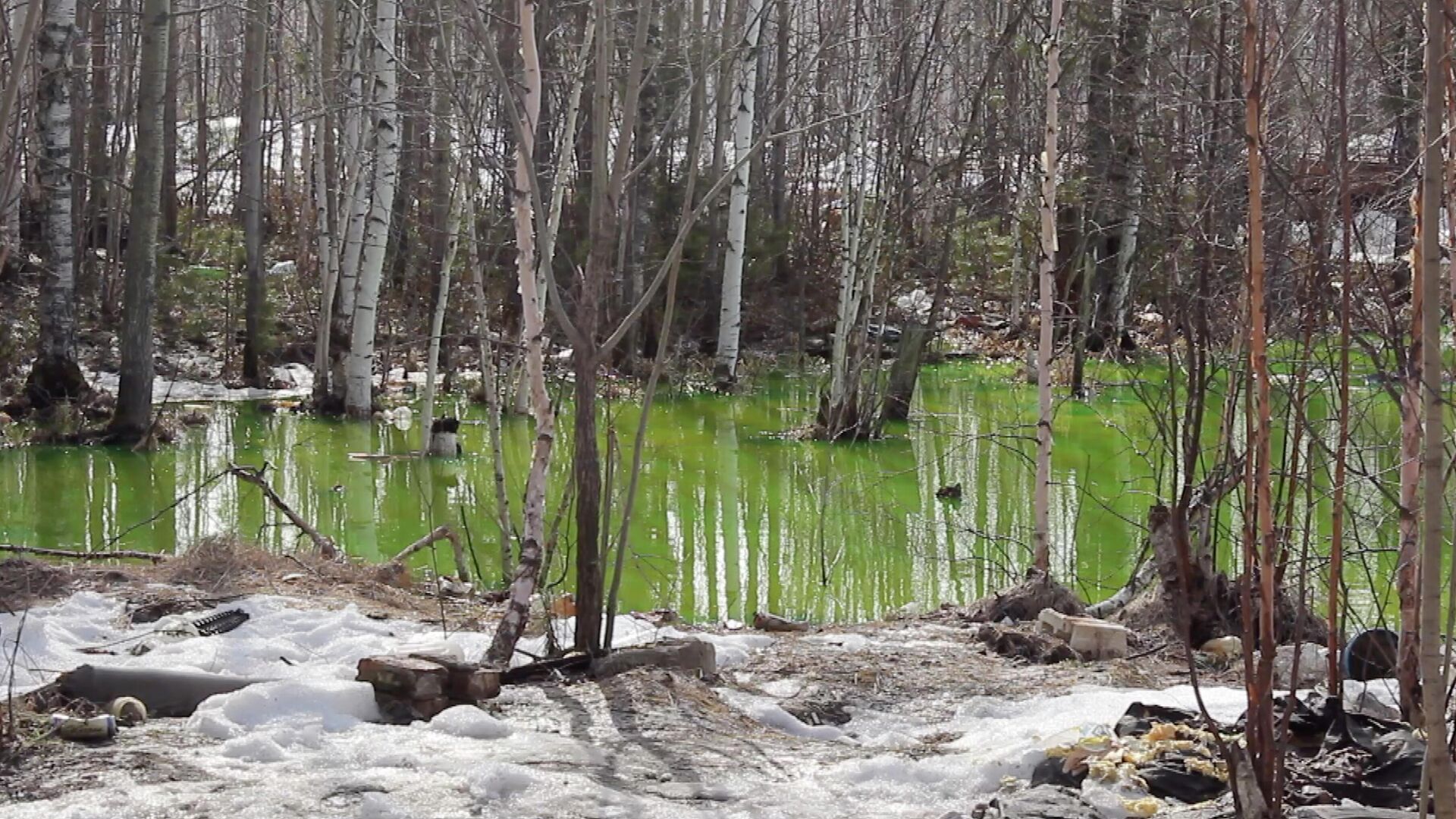 Озеро с зеленой водой в Нижневартовске. Кадр видео - РИА Новости, 1920, 15.04.2021