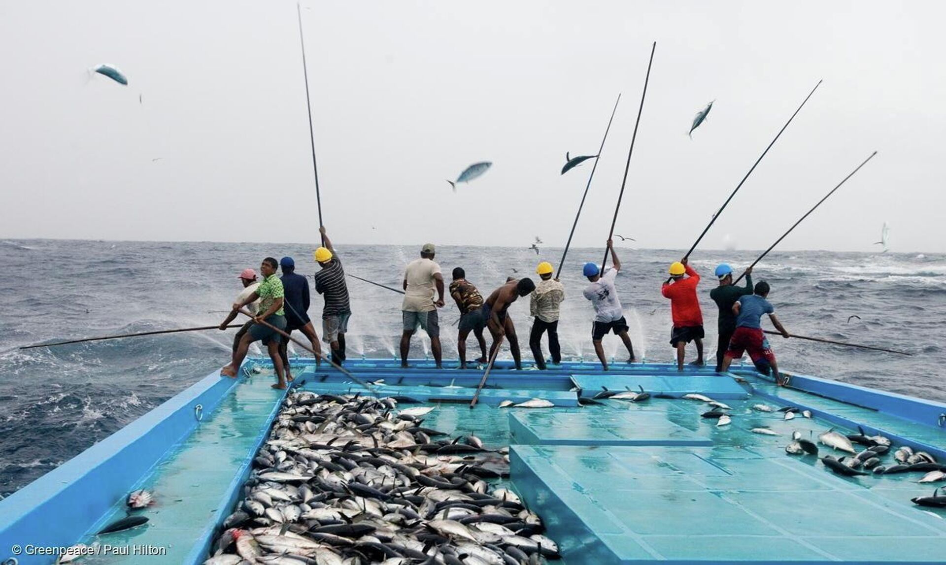 Рыбаки ловят тунца в Индийском океане у Мальдивских островов - РИА Новости, 1920, 24.06.2021