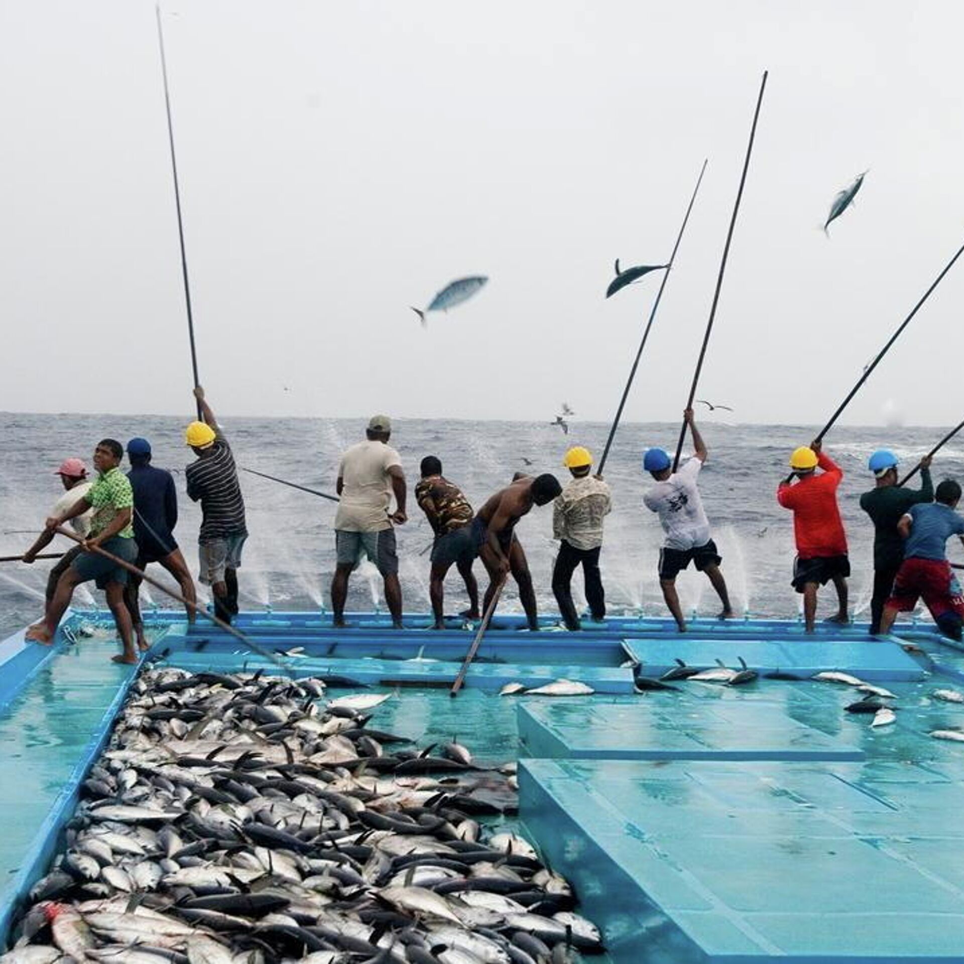 Реферат: Основные способы спортивной ловли рыбы