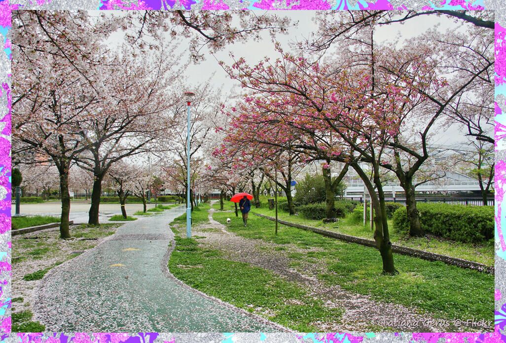 Осака, Kema Sakuranomiya Park  - РИА Новости, 1920, 15.04.2021