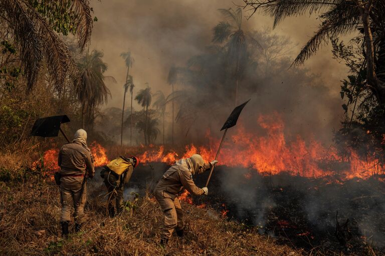 Pantanal Ablaze фотографа Lalo de Almeida, занявшего первое место в категории Окружающая среда. Серии в фотоконкурсе World Press Photo